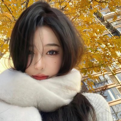 最后的气宗