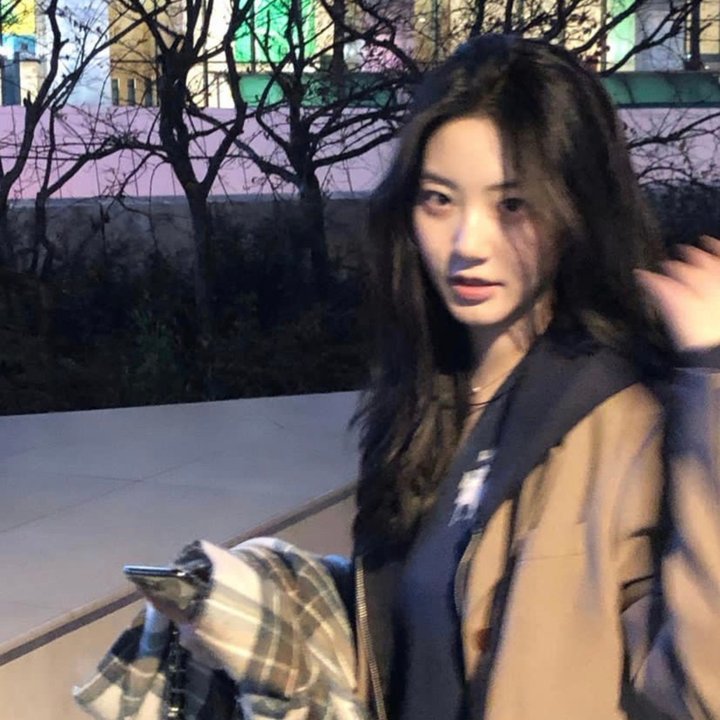 捕蝇纸
